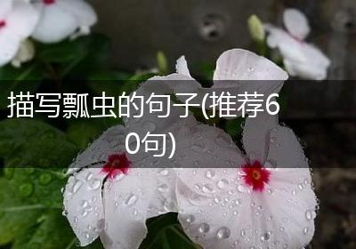 描写瓢虫的句子(推荐60句)