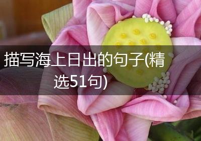 描写海上日出的句子(精选51句)