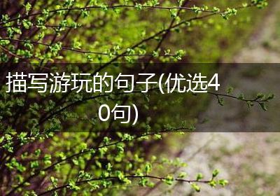 描写游玩的句子(优选40句)