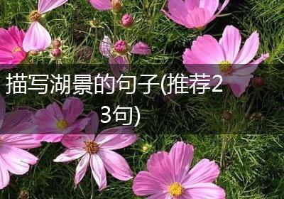 描写湖景的句子(推荐23句)