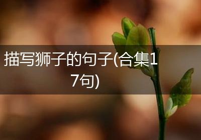 描写狮子的句子(合集17句)
