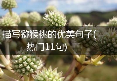 描写猕猴桃的优美句子(热门11句)
