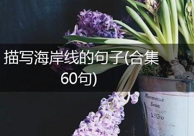 描写海岸线的句子(合集60句)