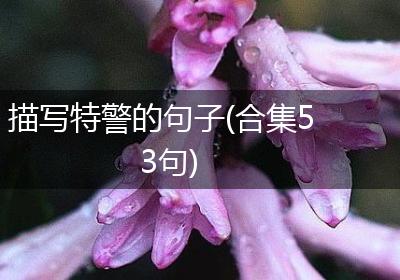 描写特警的句子(合集53句)