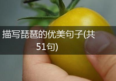 描写琵琶的优美句子(共51句)