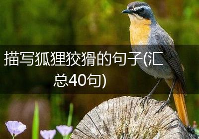 描写狐狸狡猾的句子(汇总40句)