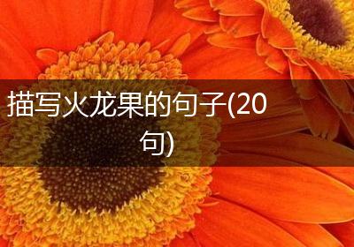 描写火龙果的句子(20句)