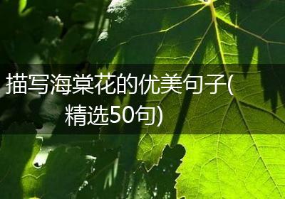 描写海棠花的优美句子(精选50句)