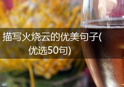 描写火烧云的优美句子(优选50句)