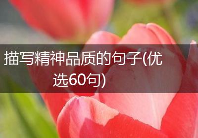 描写精神品质的句子(优选60句)