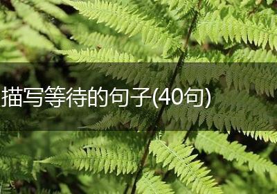 描写等待的句子(40句)