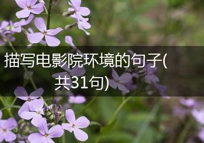 描写电影院环境的句子(共31句)