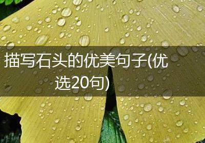 描写石头的优美句子(优选20句)
