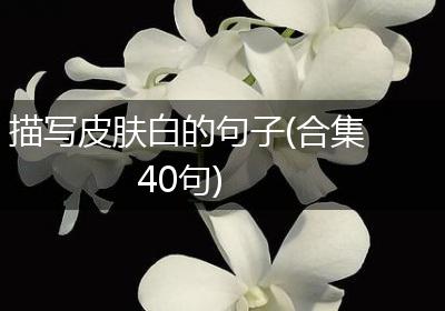 描写皮肤白的句子(合集40句)