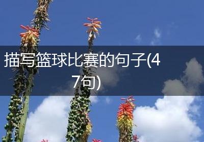 描写篮球比赛的句子(47句)
