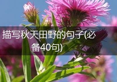 描写秋天田野的句子(必备40句)