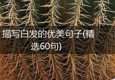 描写白发的优美句子(精选60句)