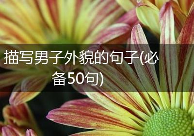 描写男子外貌的句子(必备50句)