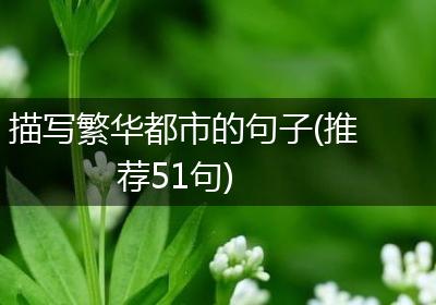 描写繁华都市的句子(推荐51句)