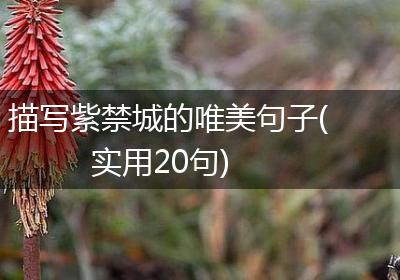 描写紫禁城的唯美句子(实用20句)