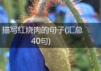 描写红烧肉的句子(汇总40句)