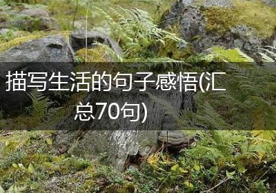 描写生活的句子感悟(汇总70句)