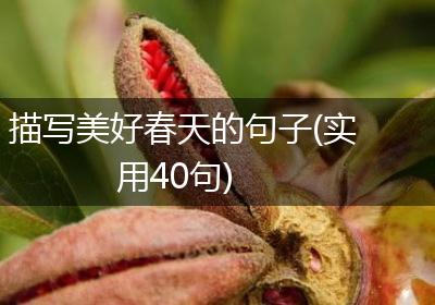 描写美好春天的句子(实用40句)