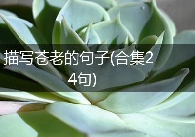 描写苍老的句子(合集24句)