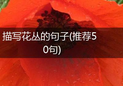 描写花丛的句子(推荐50句)