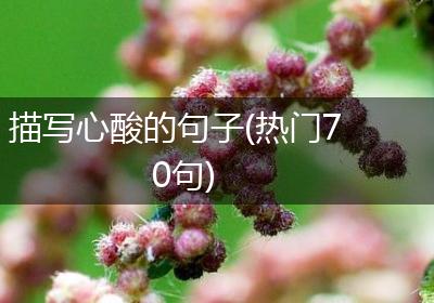 描写心酸的句子(热门70句)
