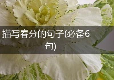 描写春分的句子(必备6句)