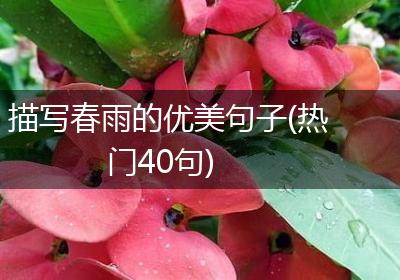 描写春雨的优美句子(热门40句)