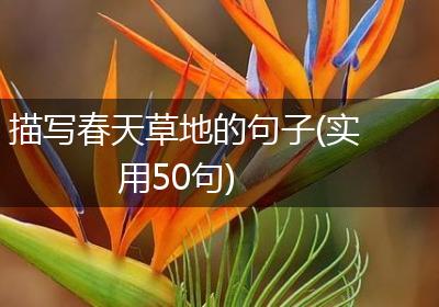 描写春天草地的句子(实用50句)