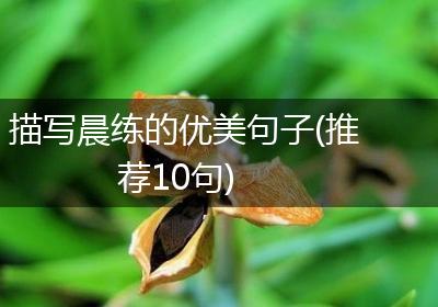 描写晨练的优美句子(推荐10句)
