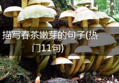 描写春茶嫩芽的句子(热门11句)