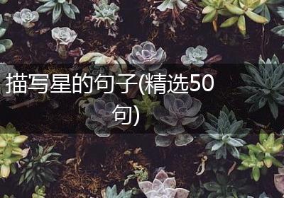 描写星的句子(精选50句)