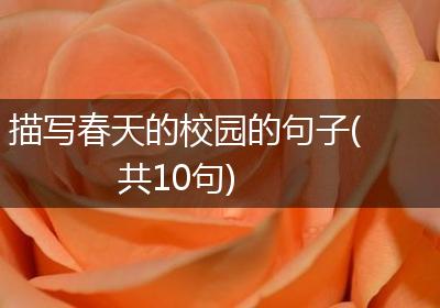 描写春天的校园的句子(共10句)