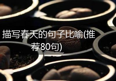描写春天的句子比喻(推荐80句)