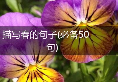描写春的句子(必备50句)