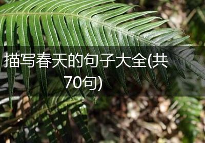 描写春天的句子大全(共70句)