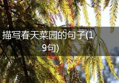 描写春天菜园的句子(19句)