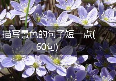 描写景色的句子短一点(60句)
