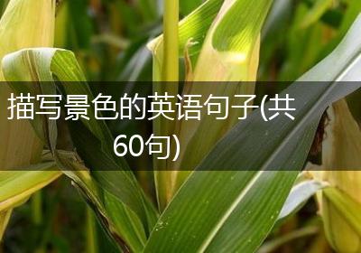 描写景色的英语句子(共60句)