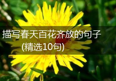 描写春天百花齐放的句子(精选10句)