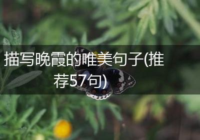 描写晚霞的唯美句子(推荐57句)