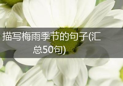 描写梅雨季节的句子(汇总50句)