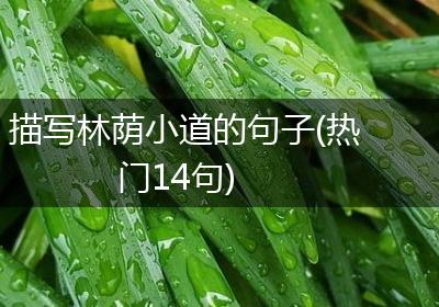描写林荫小道的句子(热门14句)