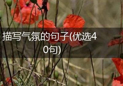 描写气氛的句子(优选40句)