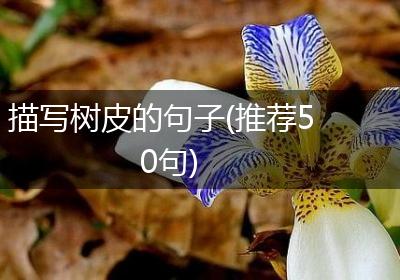 描写树皮的句子(推荐50句)