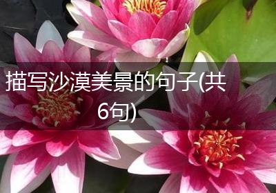 描写沙漠美景的句子(共6句)